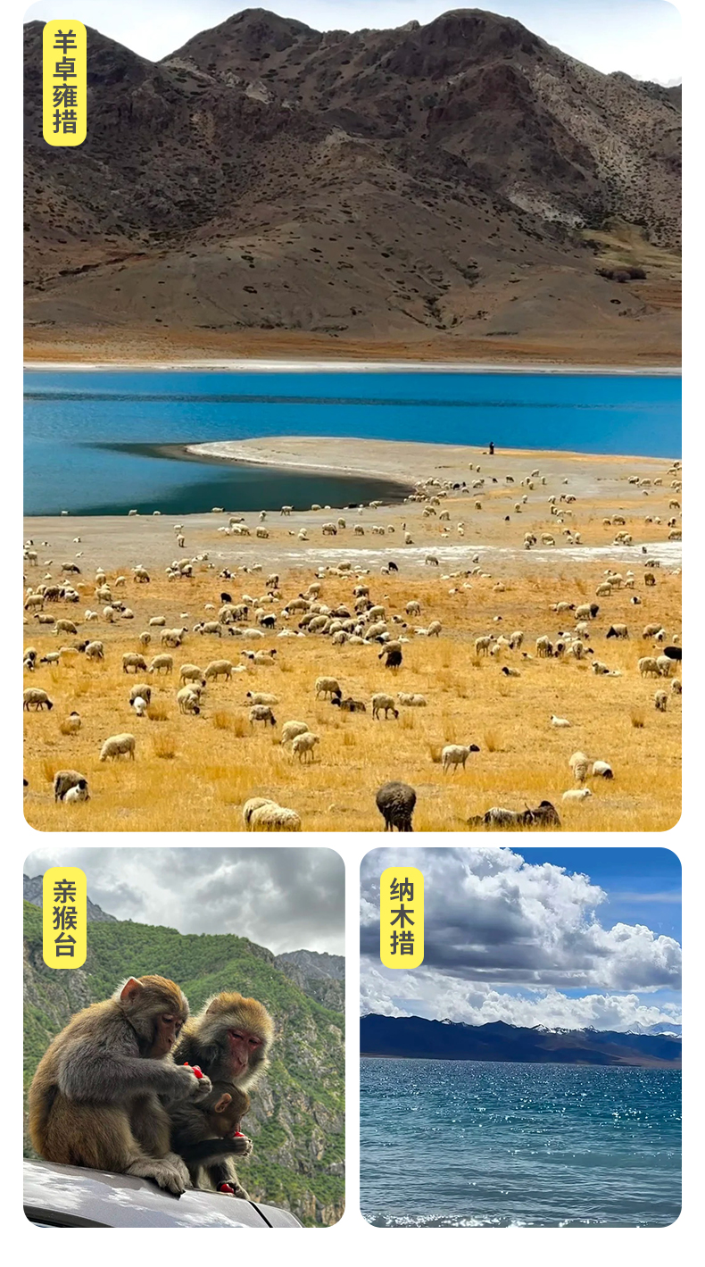 林芝珠峰_16 林芝珠峰_16